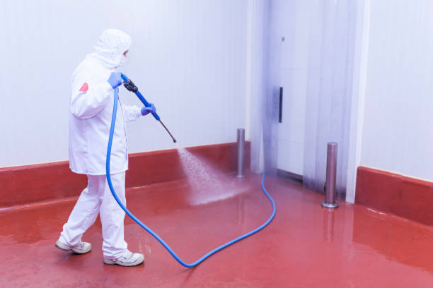 Best Rust Removal  in Hoosick Falls, NY
